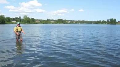 Photo of Рыбалка на базе отдыха: незабываемый опыт